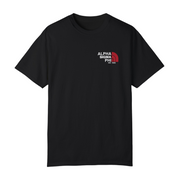 Black Alpha Sigma Phi Graphic T-Shirt | The North LC