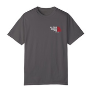 Grey Alpha Sigma Phi Graphic T-Shirt | The North LC