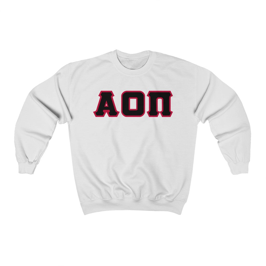 Alpha Omicron Pi Printed Letters | Black with Cardinal Border Crewneck